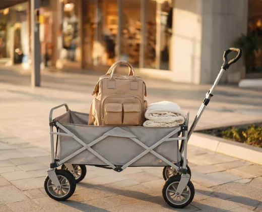 Baby stroller wagon prepared for a family errand